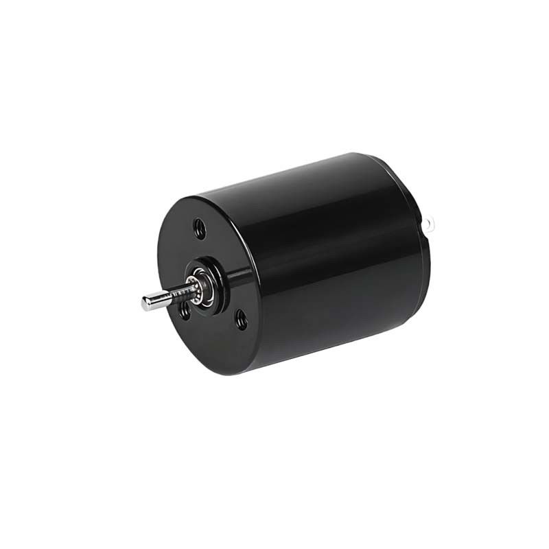 مایکرو کورلیس برس موتور DC 22mm 3.61 وات 6900rpm 36V سفارشی